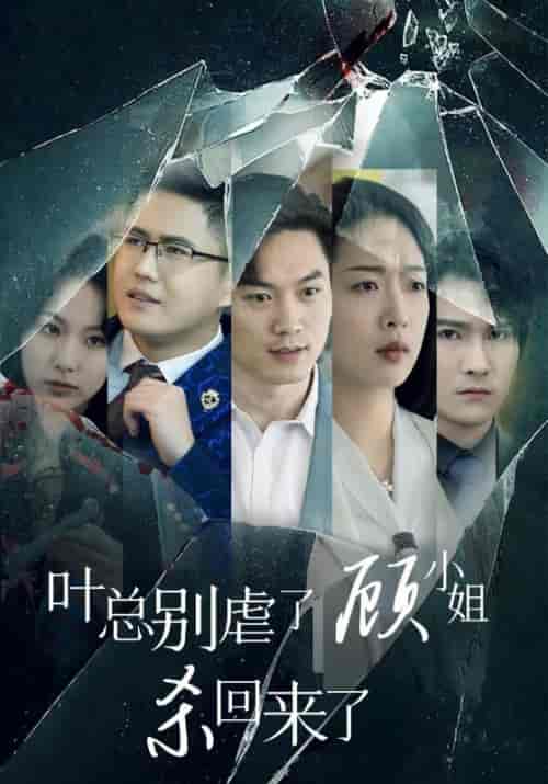 叶总别虐了顾小姐杀回来了(71集全)叶辰&顾倾城-紫橙资源网