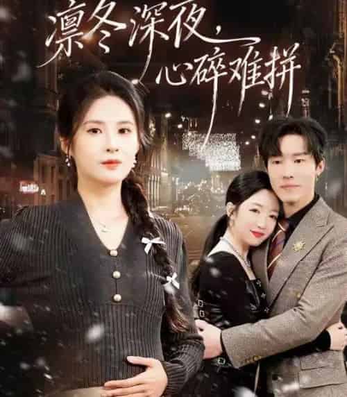 凛冬深夜，心碎难拼（64集全）陈辰＆陈酉昔-紫橙资源网