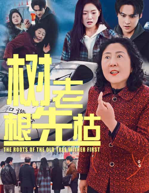 树老根先枯（33集）-紫橙资源网