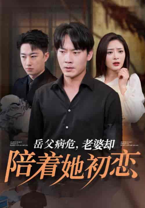 岳父病危，老婆却陪着她初恋（31集全）陆峰白＆宋绮梦-紫橙资源网