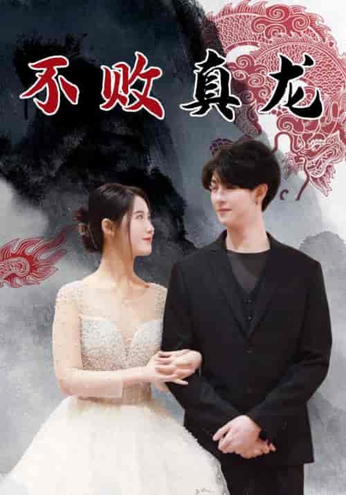 不败真龙（100集全）楚星言＆林雨洛-紫橙资源网