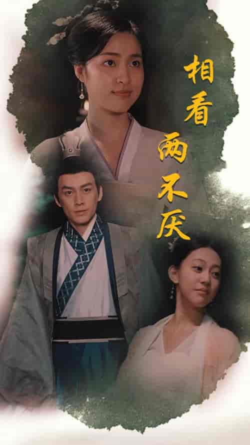 相看两不厌＆这个王妃不好惹（85集）-紫橙资源网