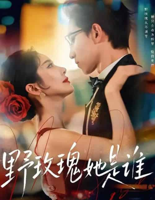 野玫瑰她是谁（84集全）李叙洲＆王小橙-紫橙资源网