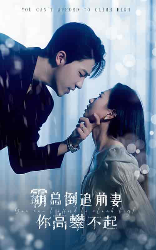 霸总倒追前妻你高攀不起（81集）鲍芝悦-紫橙资源网