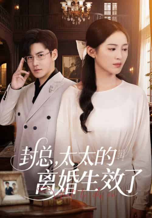 封总,太太的离婚生效了&封总太太的离婚生效了(82集全)崔秀子&李子锋-紫橙资源网