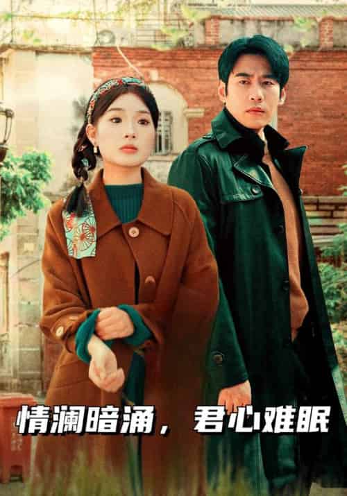 情澜暗涌，君心难眠（40集全）张序良＆姜子语-紫橙资源网