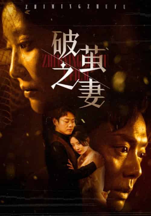 破茧之妻（46集全）贺书彦＆欧珊-紫橙资源网