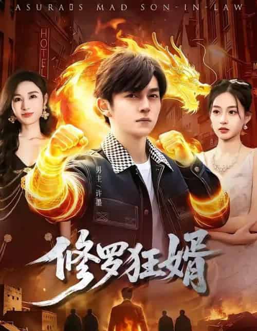 修罗狂婿(114集全)鸡翅&文昕-紫橙资源网