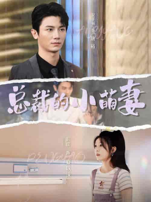 总裁的小萌妻(89集全)彭瑶&安子杨-紫橙资源网