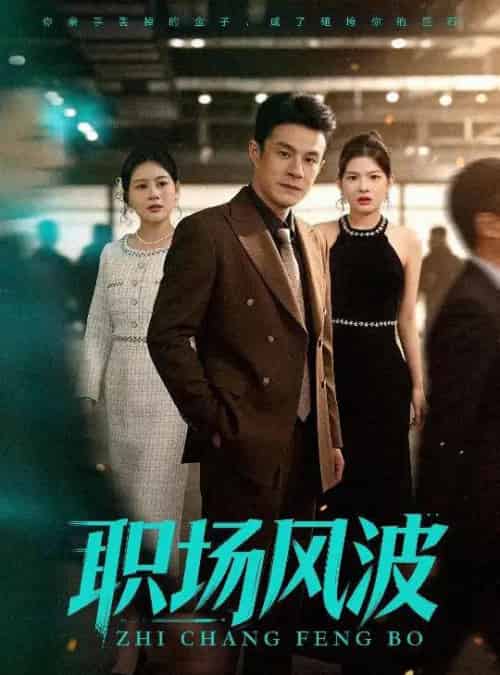 职场风波（50集全）郑斌＆罐小结-紫橙资源网