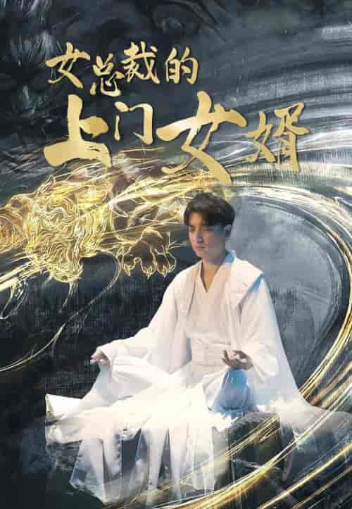 女总裁的上门女婿（104集）-紫橙资源网