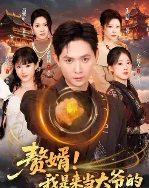 赘婿!我是来当大爷的(79集全)董鹏翔&袁珍妮-紫橙资源网