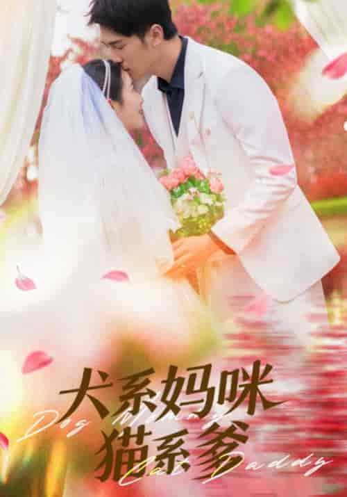 犬系妈咪猫系爹（79集全）顾子辰＆赵灵儿-紫橙资源网