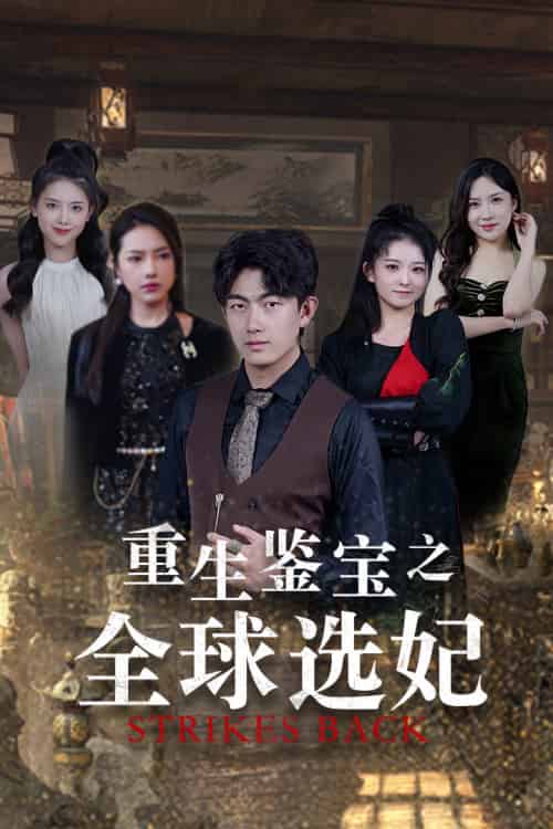 重生鉴宝之全球选妃＆鉴宝之逆转人生（80集）-紫橙资源网