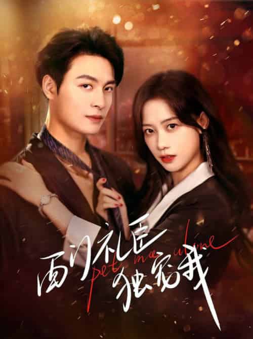 西门礼臣独宠我（80集全）刘叁肆＆康渝茜-紫橙资源网