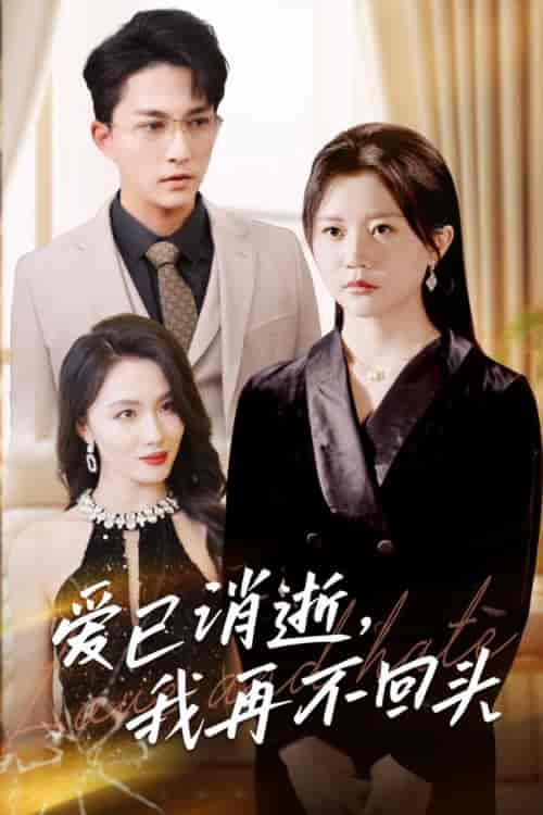 爱已消逝我再不回头（31集全）李家圆子-紫橙资源网