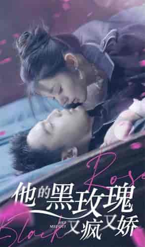 他的黑玫瑰又疯又娇（81集） - 紫橙短剧