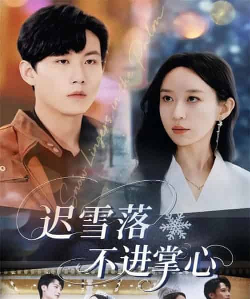迟雪落不进掌心(79集全)李沐珩&王瀚迎-紫橙资源网