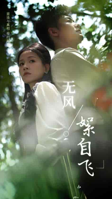 无风絮自飞(36集)-紫橙资源网