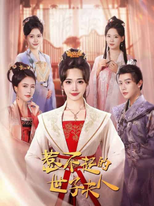 惹不起的世子夫人（80集全）马烁棋＆徐东艺-紫橙资源网