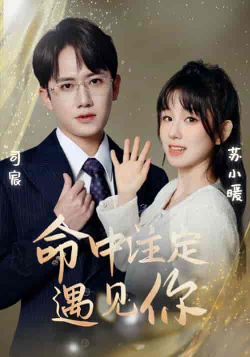 命中注定遇见你(96集)-紫橙资源网