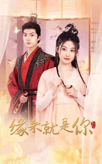 缘来就是你（65集）-紫橙资源网