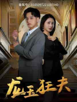 龙玉狂夫（45集）-紫橙资源网