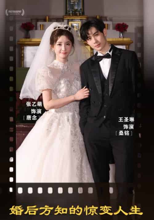 婚后方知的惊变人生（100集全）桑铭＆唐念-紫橙资源网