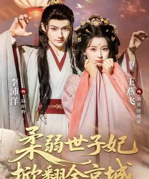 柔弱世子妃掀翻全京城（70集全）李沛洋＆王燕飞-紫橙资源网