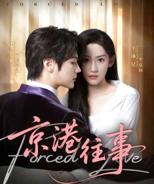 京港往事（80集全）赵垣又＆王冰星-紫橙资源网