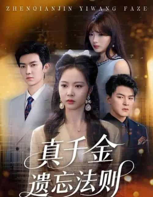 真千金遗忘法则（58集）王旭＆姚慧-紫橙资源网