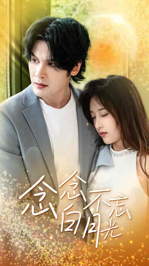 念念不忘白月光（80集） - 紫橙短剧