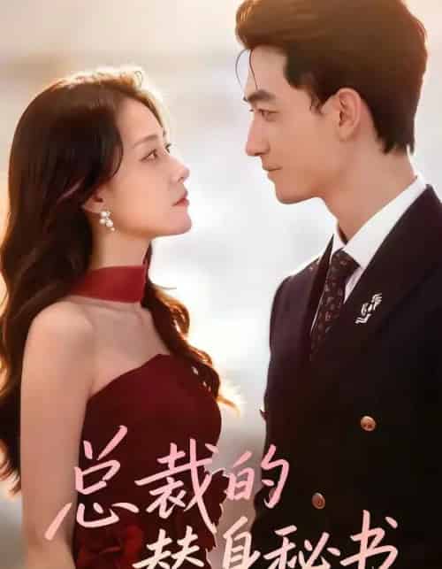 总裁的替身秘书（69集全）李书滔＆韩佳芯-紫橙资源网