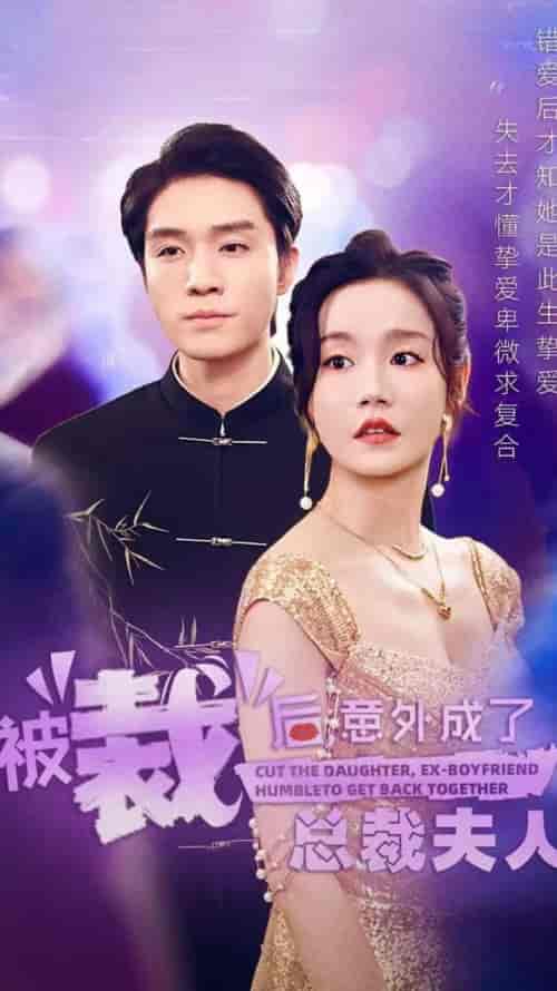 被裁后，意外成了总裁夫人（70集全）汤圆-紫橙资源网