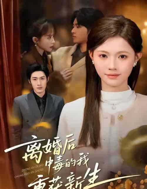 离婚后中毒的我重获新生(52集全)丁紫嫣&张易嵘&单樱杰-紫橙资源网