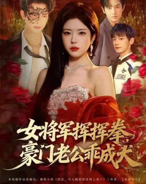 女将军挥挥拳,豪门老公乖成犬(80集全)韦若辰&熊安妮-紫橙资源网