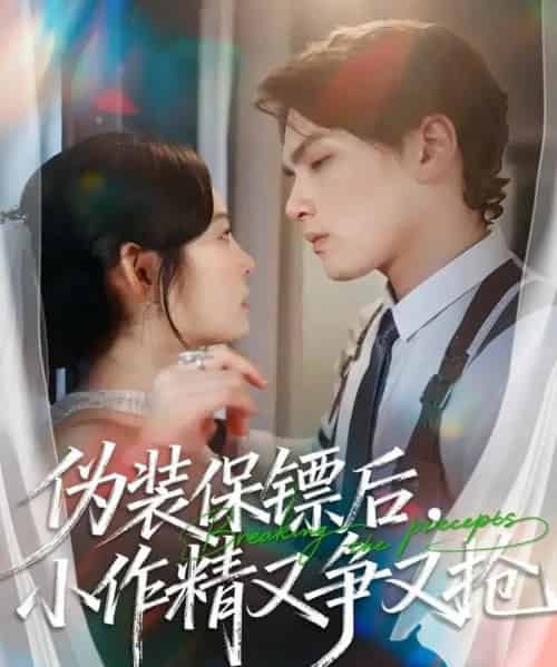 伪装保镖后，小作精又争又抢（62集全）刘昊哲＆徐菡琳-紫橙资源网