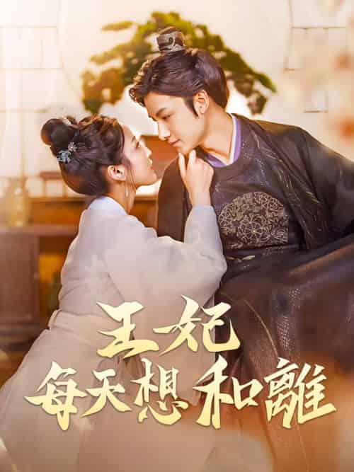 王妃每天想和離（97集全）沈青珩＆江汐瑤-紫橙资源网