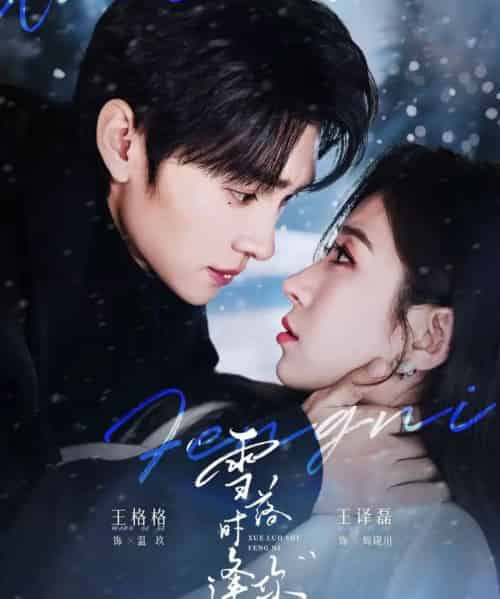 雪落时逢你(75集全)王译磊&王格格-紫橙资源网