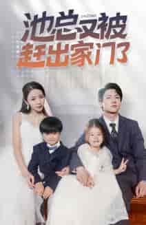 池总又被赶出家门了（72集）-紫橙资源网