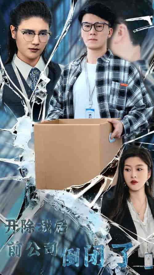 开除我后前公司倒闭了(31集全)-紫橙资源网