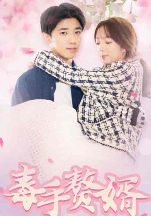 毒手赘婿 毒手赘婿