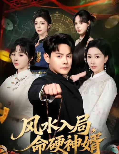 风水入局,命硬神婿(80集全)邱浩轩&张馨悦-紫橙资源网