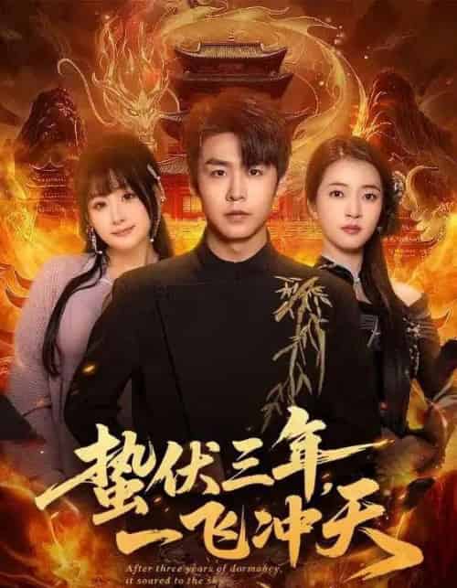 蛰伏三年，一飞冲天（60集全）孔德瑞＆刘浔-紫橙资源网