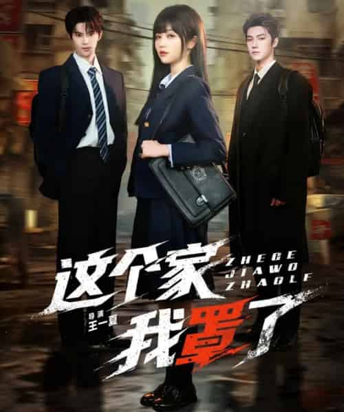 这个家我罩了(60集全)张庭睿&岳雨婷&邵巍-紫橙资源网