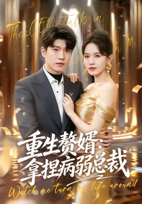 重生赘婿:拿捏病弱总裁(80集全)王奥龙&傅依凡-紫橙资源网
