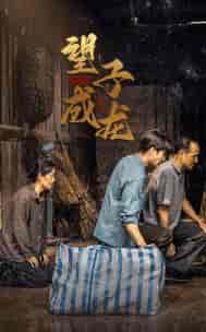 新版：望子成龙（59集） - 紫橙短剧