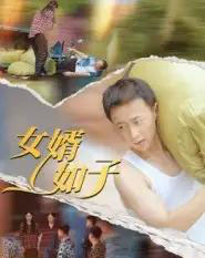 女婿如子(40集全)-紫橙资源网