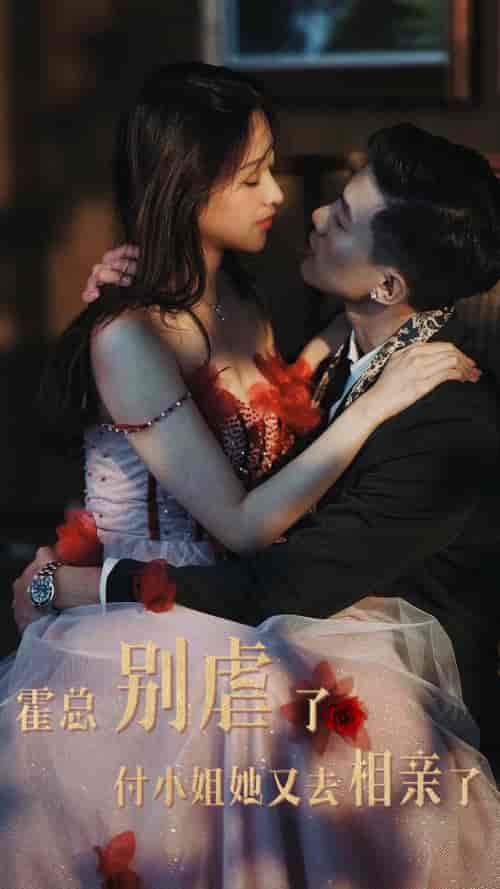 霍总别虐了付小姐她又去相亲了（68集）-紫橙资源网