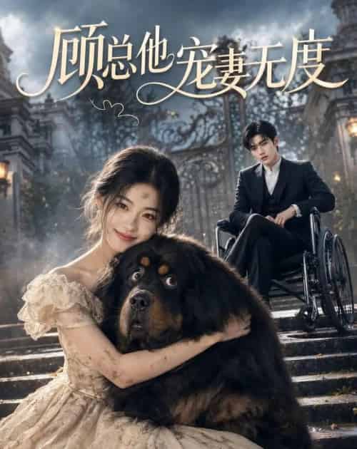顾总他宠妻无度（36集全）AI-紫橙资源网